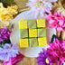 Diwali Glow Petit Fours — Lemon & Pistachio Petit Fours(9-Pack)